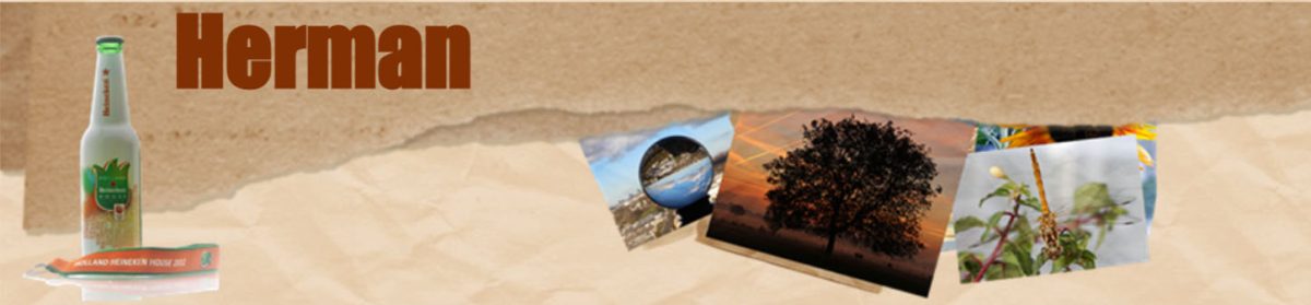  Herman
